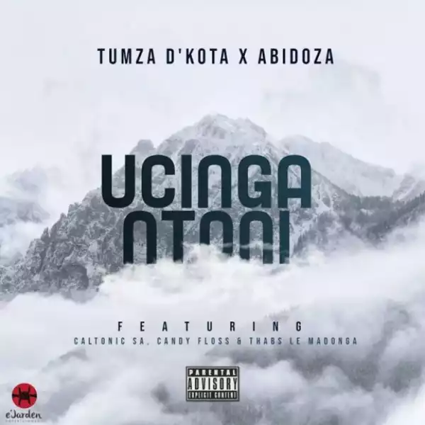 Tumza D’kota X Abidoza - Ucinga Ntoni Ft. Caltonic SA, Candy Floss & Thabs Le Madonga
